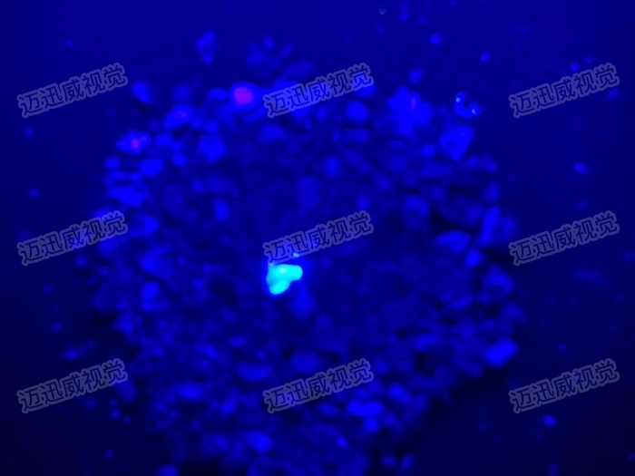 顆粒物雜質(zhì)檢測1.jpg